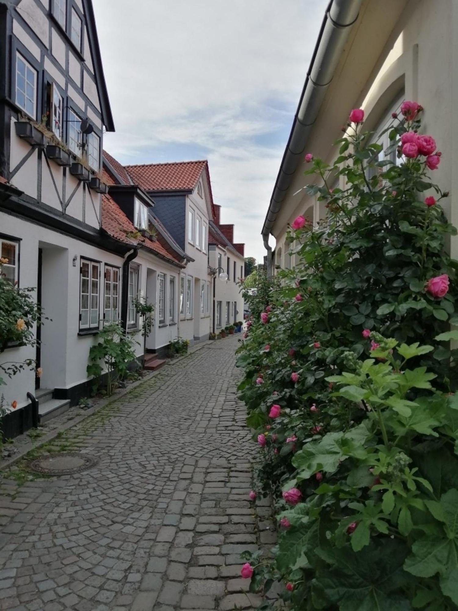 Apartment Borby-haus *